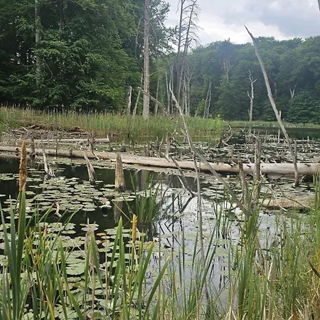 Kiara 度假居