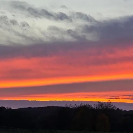 Kiara * Feldberger Seenlandschaft